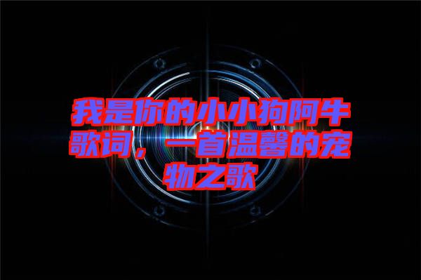 我是你的小小狗阿牛歌詞，一首溫馨的寵物之歌