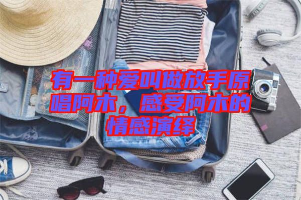 有一種愛叫做放手原唱阿木，感受阿木的情感演繹