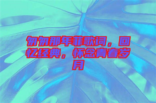 匆匆那年菲歌詞，回憶經(jīng)典，懷念青春歲月