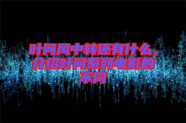 葉問風(fēng)中轉(zhuǎn)還有什么，介紹葉問系列電影的不同