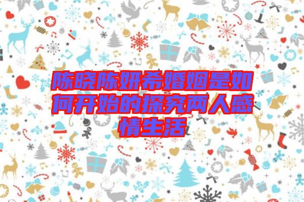 陳曉陳妍?；橐鍪侨绾伍_始的探究?jī)扇烁星樯? width=