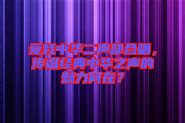 愛我中華二聲部合唱，傳唱經(jīng)典中華之聲的魅力何在？