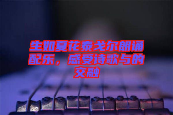 生如夏花泰戈爾朗誦配樂，感受詩歌與的交融