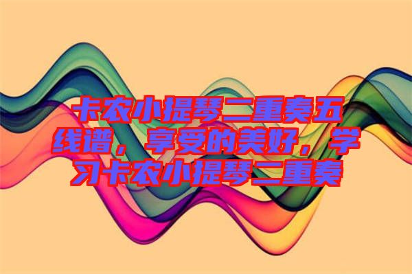 卡農(nóng)小提琴二重奏五線譜，享受的美好，學習卡農(nóng)小提琴二重奏