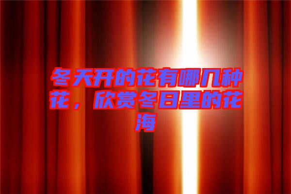 冬天開的花有哪幾種花，欣賞冬日里的花海