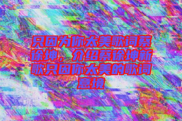 只因?yàn)槟闾栏柙~蔡徐坤，介紹蔡徐坤新歌只因你太美的歌詞意境