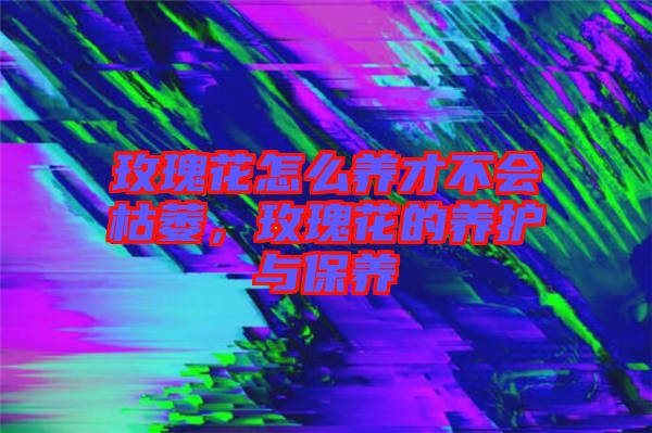 玫瑰花怎么養(yǎng)才不會枯萎，玫瑰花的養(yǎng)護與保養(yǎng)