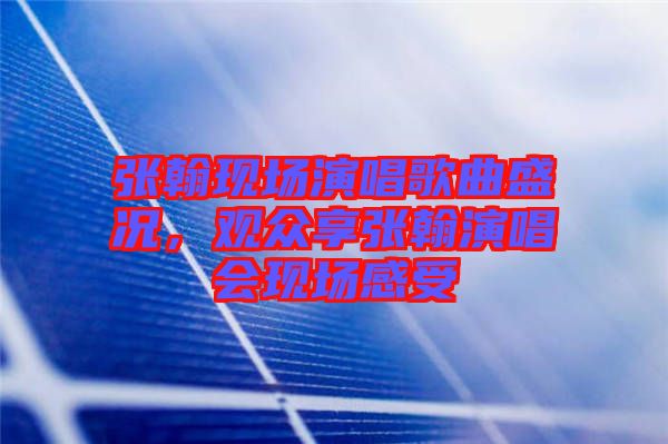 張翰現(xiàn)場(chǎng)演唱歌曲盛況，觀眾享張翰演唱會(huì)現(xiàn)場(chǎng)感受