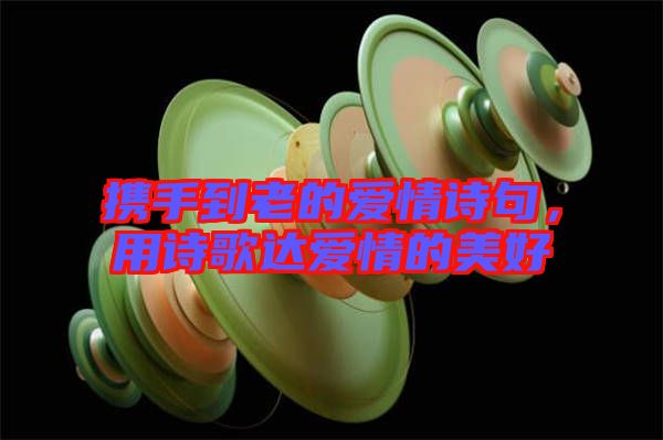 攜手到老的愛情詩句，用詩歌達(dá)愛情的美好