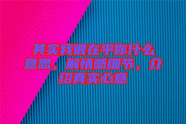 其實(shí)我很在乎你什么意思，解情感細(xì)節(jié)，介紹真實(shí)心意
