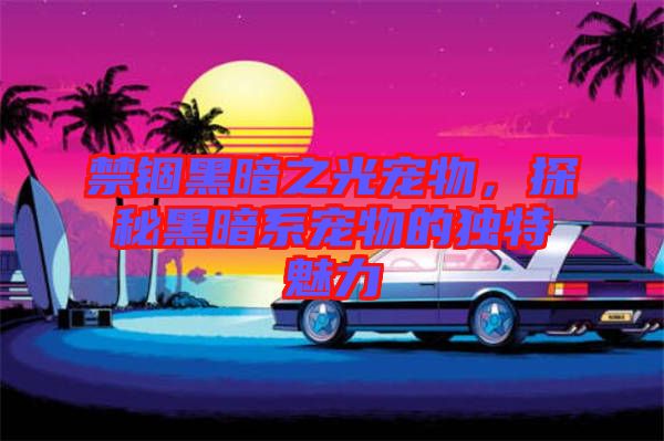 禁錮黑暗之光寵物，探秘黑暗系寵物的獨(dú)特魅力
