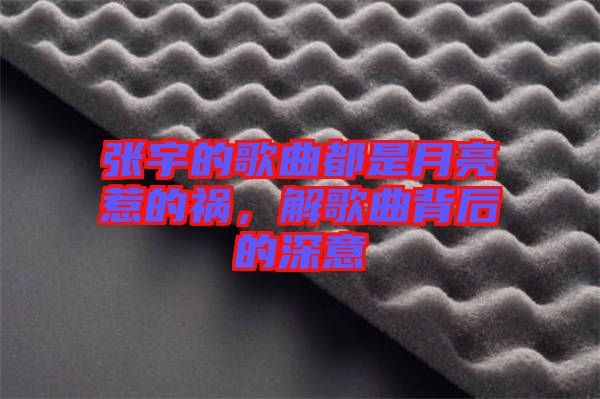 張宇的歌曲都是月亮惹的禍，解歌曲背后的深意