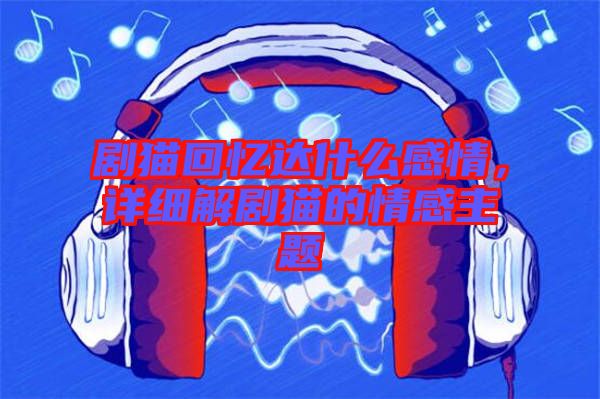 劇貓回憶達什么感情，詳細解劇貓的情感主題
