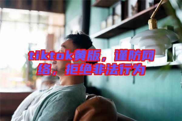 tiktok黃版，謹(jǐn)防網(wǎng)絡(luò)，拒絕非法行為