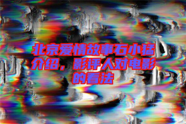 北京愛(ài)情故事石小猛介紹，影評(píng)人對(duì)電影的看法