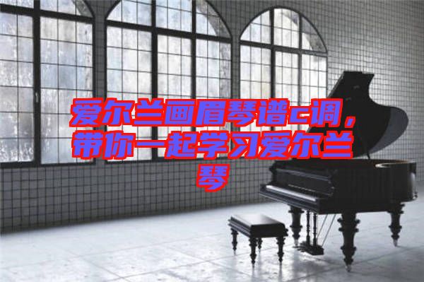 愛(ài)爾蘭畫(huà)眉琴譜c調(diào)，帶你一起學(xué)習(xí)愛(ài)爾蘭琴