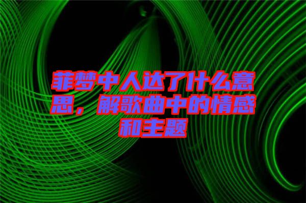 菲夢中人達了什么意思，解歌曲中的情感和主題