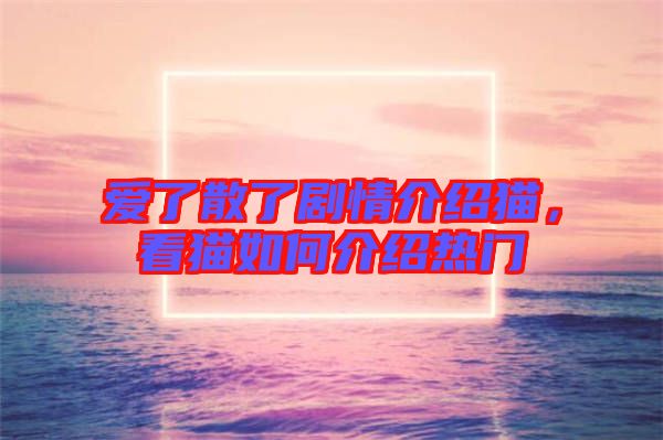 愛(ài)了散了劇情介紹貓，看貓如何介紹熱門