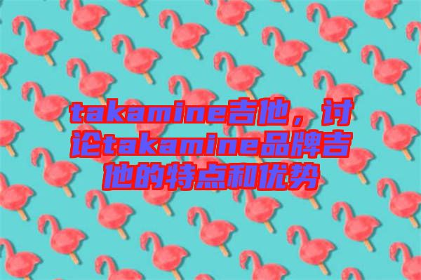 takamine吉他，討論takamine品牌吉他的特點和優(yōu)勢