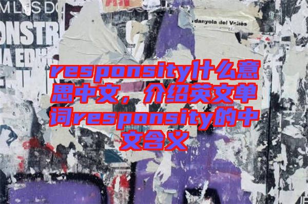 responsity什么意思中文，介紹英文單詞responsity的中文含義