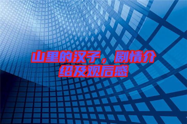 山里的漢子，劇情介紹及觀后感