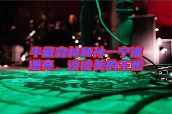 半藏森林和孫一寧誰漂亮，談?wù)劽赖闹饔^