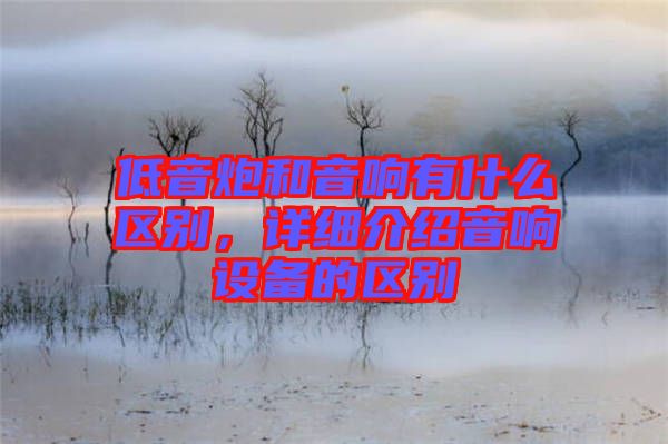 低音炮和音響有什么區(qū)別，詳細介紹音響設(shè)備的區(qū)別