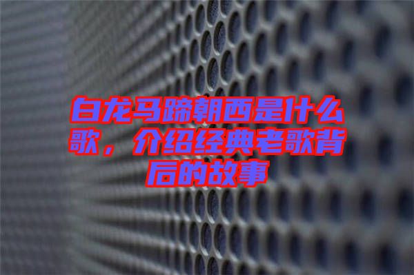 白龍馬蹄朝西是什么歌，介紹經典老歌背后的故事