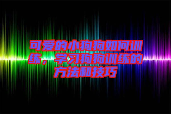 可愛(ài)的小狗狗如何訓(xùn)練，學(xué)習(xí)狗狗訓(xùn)練的方法和技巧