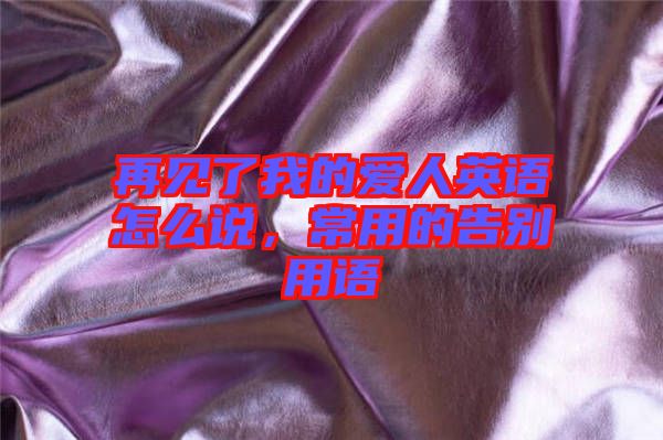 再見了我的愛人英語(yǔ)怎么說，常用的告別用語(yǔ)