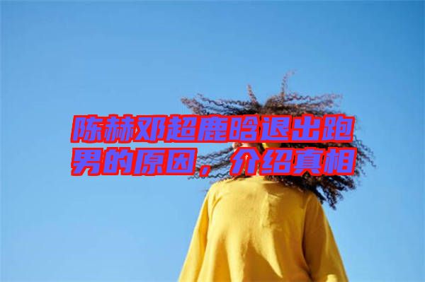 陳赫鄧超鹿晗退出跑男的原因，介紹真相