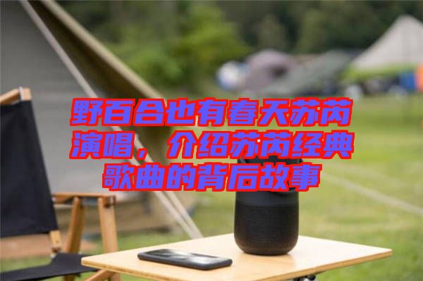 野百合也有春天蘇芮演唱，介紹蘇芮經(jīng)典歌曲的背后故事