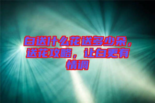 白送什么花送多少朵，送花攻略，讓白更有情調(diào)