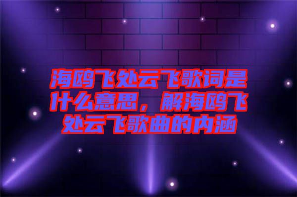 海鷗飛處云飛歌詞是什么意思，解海鷗飛處云飛歌曲的內(nèi)涵