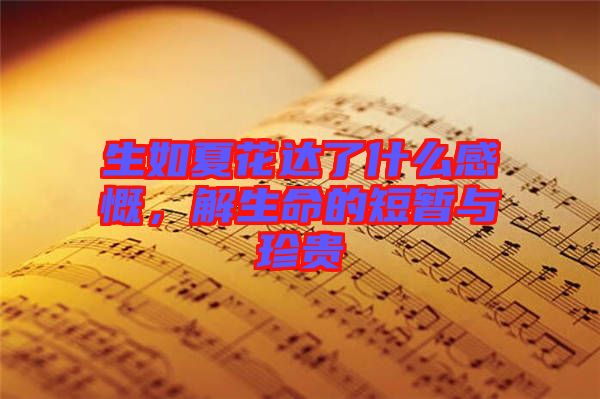 生如夏花達(dá)了什么感慨，解生命的短暫與珍貴