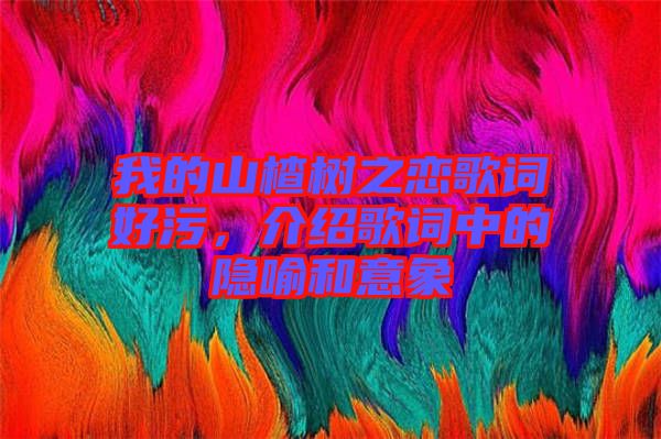 我的山楂樹之戀歌詞好污，介紹歌詞中的隱喻和意象