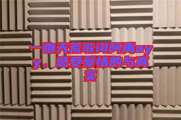 一吻天荒歌詞阿禹ayy，感受愛情的與真實(shí)