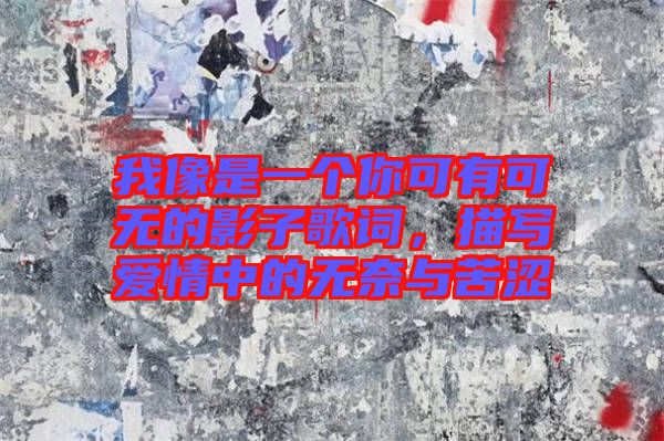 我像是一個你可有可無的影子歌詞，描寫愛情中的無奈與苦澀