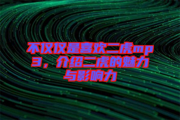 不僅僅是喜歡二虎mp3，介紹二虎的魅力與影響力