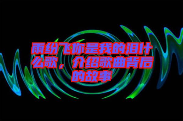 雨紛飛你是我的淚什么歌，介紹歌曲背后的故事