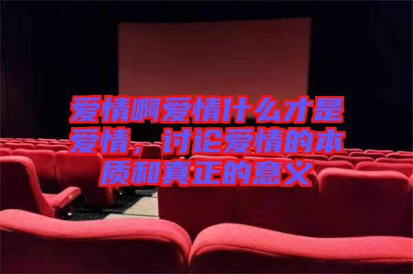 愛(ài)情啊愛(ài)情什么才是愛(ài)情，討論愛(ài)情的本質(zhì)和真正的意義