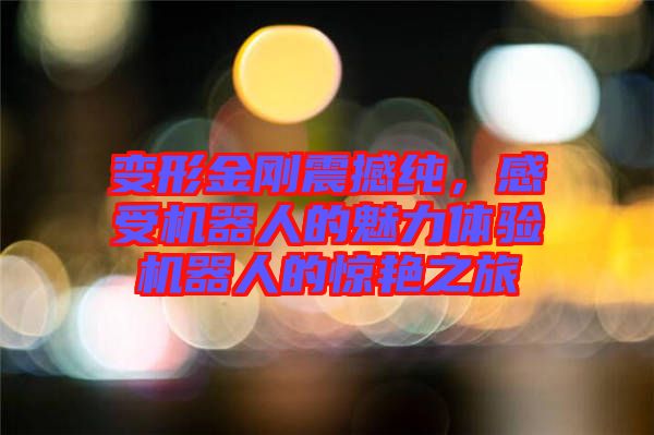 變形金剛震撼純，感受機(jī)器人的魅力體驗(yàn)機(jī)器人的驚艷之旅
