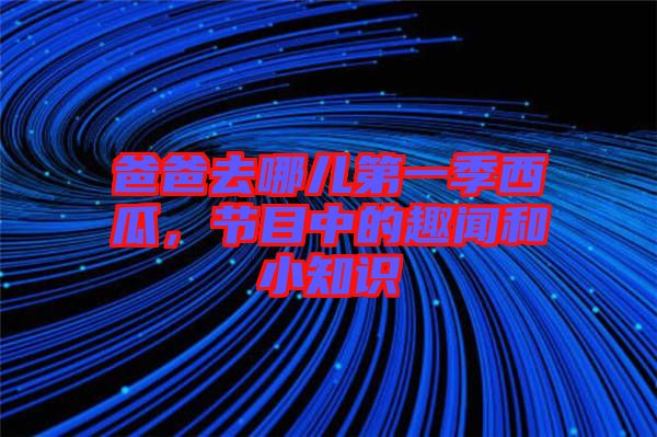 爸爸去哪兒第一季西瓜，節(jié)目中的趣聞和小知識(shí)
