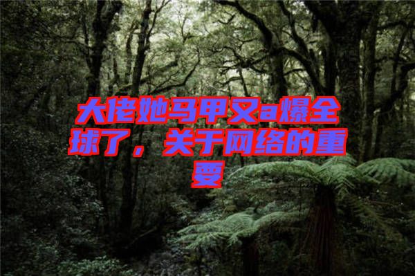 大佬她馬甲又a爆全球了，關(guān)于網(wǎng)絡(luò)的重要