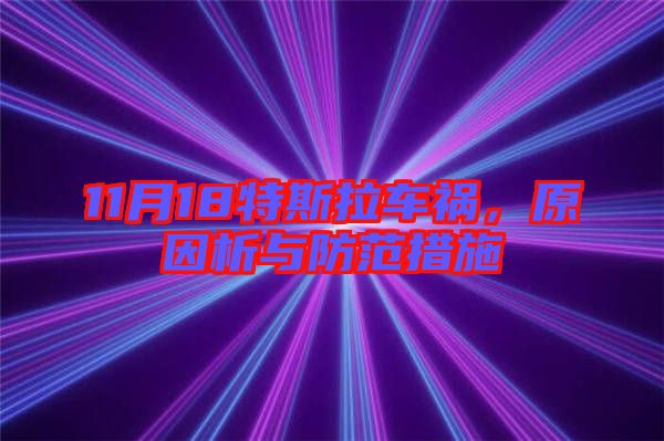 11月18特斯拉車禍，原因析與防范措施