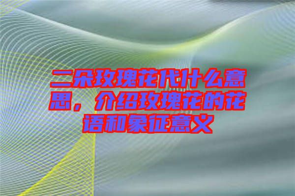 二朵玫瑰花代什么意思，介紹玫瑰花的花語(yǔ)和象征意義