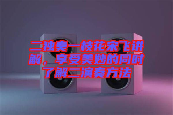 二獨(dú)奏一枝花宋飛講解，享受美妙的同時(shí)了解二演奏方法