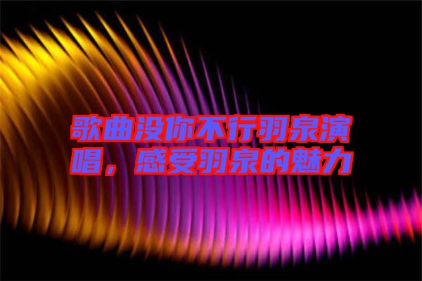歌曲沒(méi)你不行羽泉演唱，感受羽泉的魅力