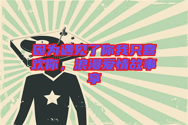 因?yàn)橛鲆娏四阄抑幌矚g你，浪漫愛情故事享
