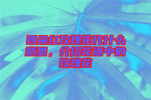 四朵紅玫瑰花代什么意思，介紹花語中的玫瑰花